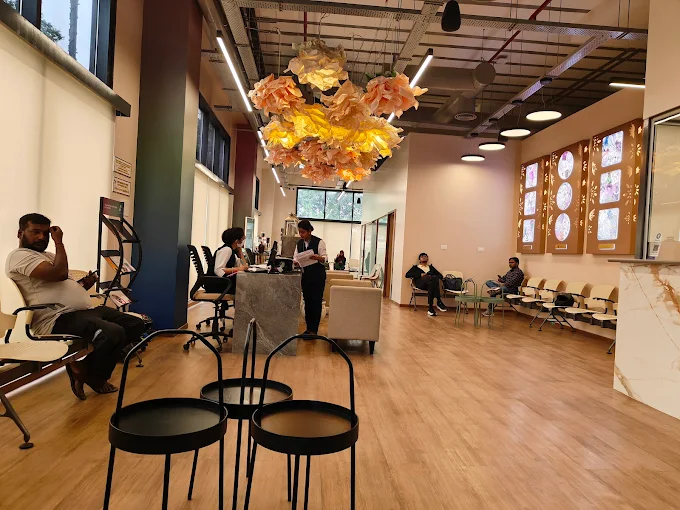 Wellness Therapy